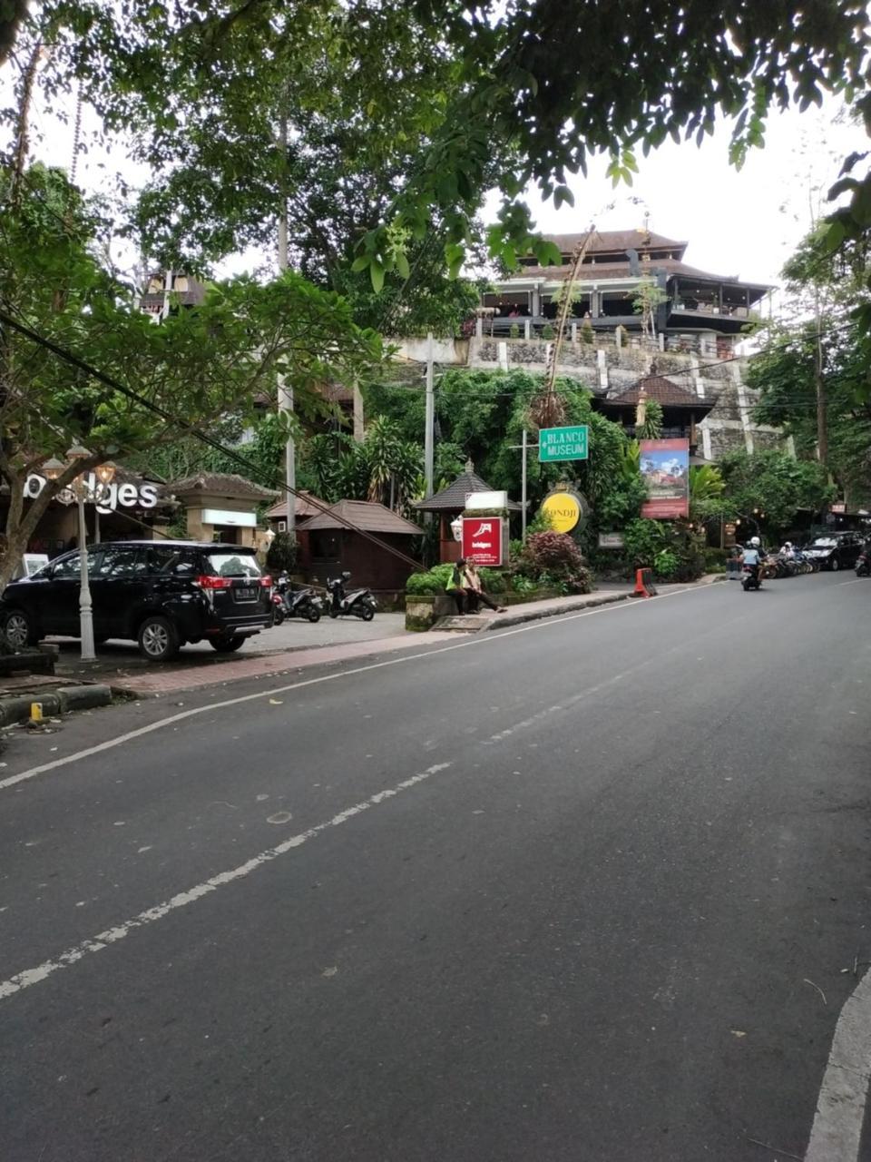 Sari Villa Ubud Екстериор снимка