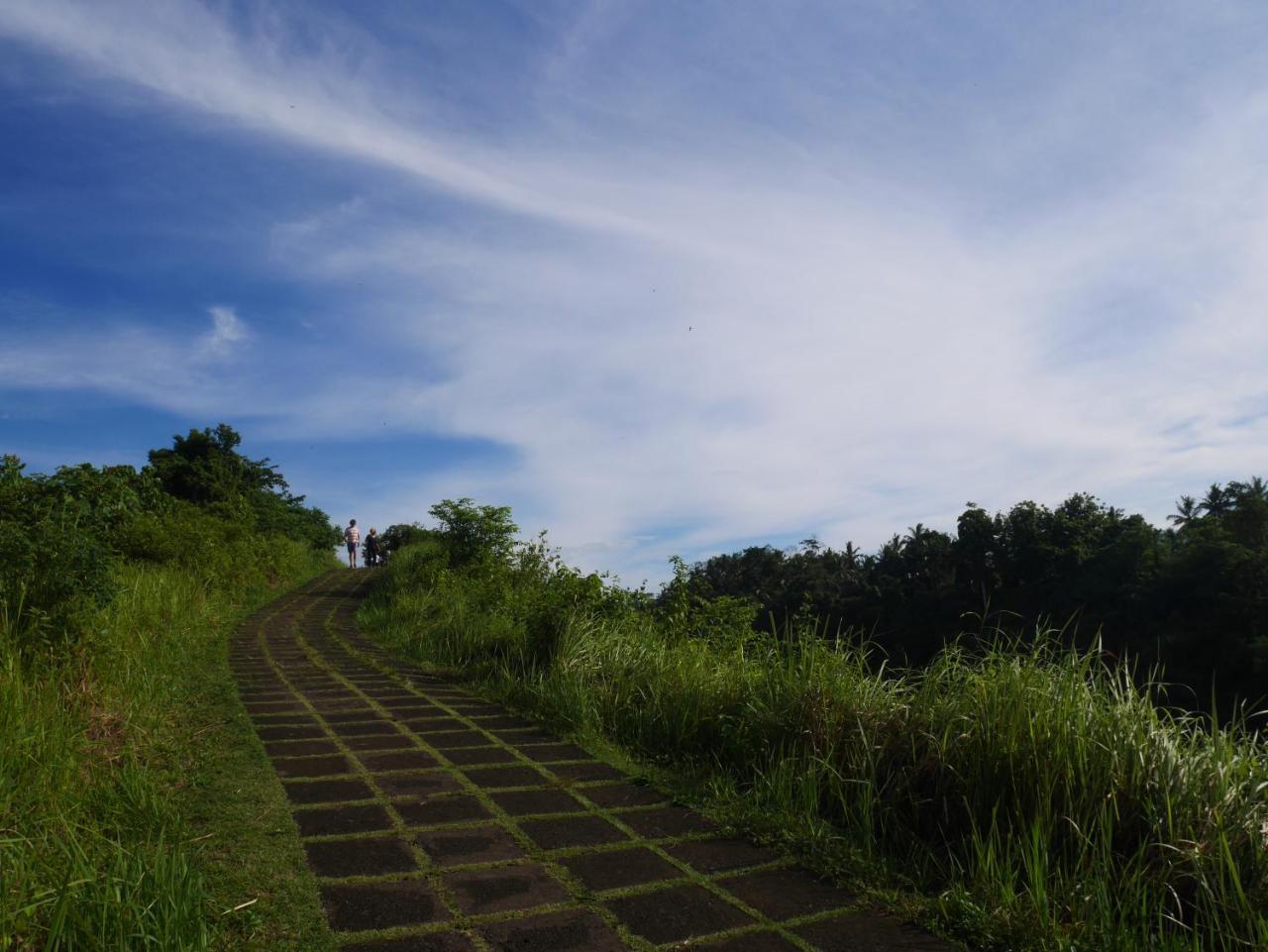 Sari Villa Ubud Екстериор снимка